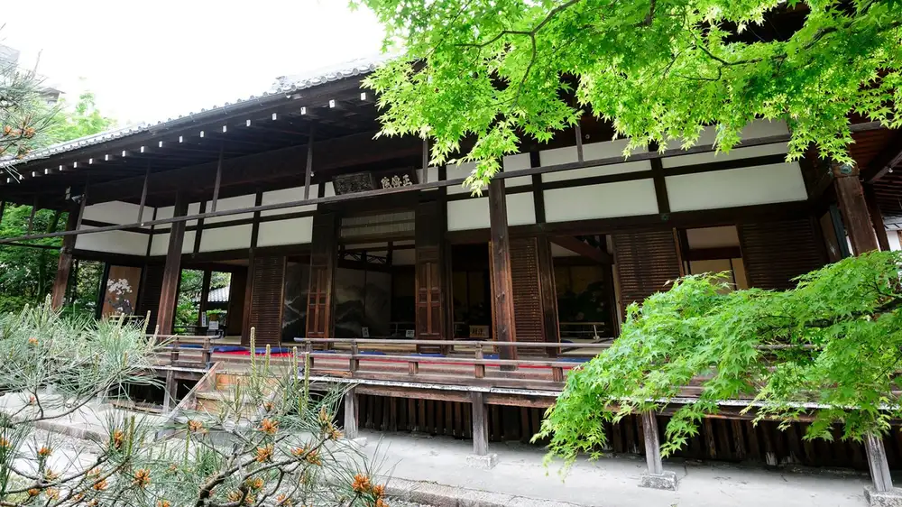 American tourist apologizes for “biggest mistake of his life” after damaging Japanese temple