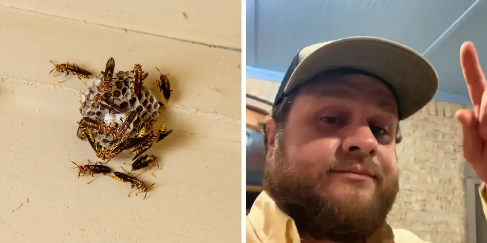 “Us southerners know a thing or two”: Why do homeowners paint their porch ceilings blue? Does it really keep insects away?