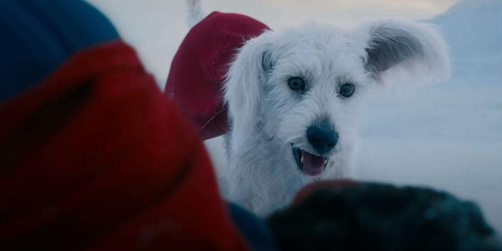 “Krypto was the real MVP”: Director James Gunn reacts to reports that Superman movie is increating dog adoptions, calling it a “blessing”
