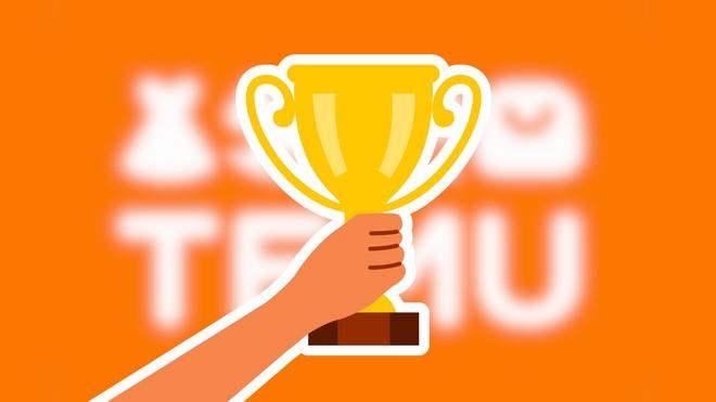 Temu meno invadente di Facebook e TikTok: lo dice una ricerca inglese