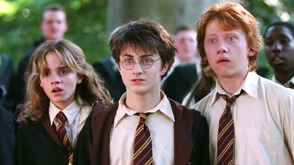 HBO finally reveals who’s playing Harry Potter in the new TV show