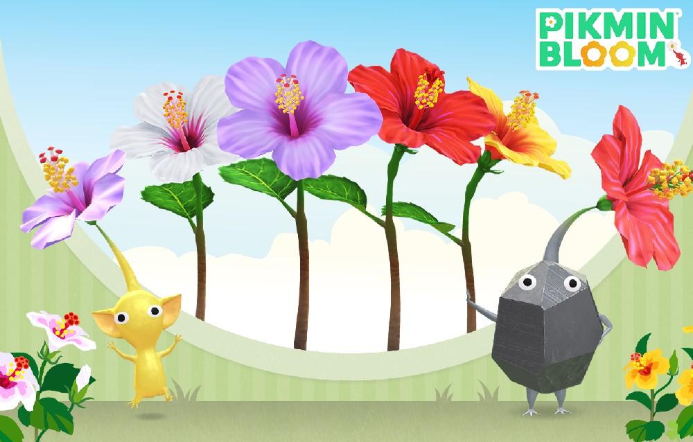 Pikmin Bloom, tutte le novità in arrivo ad agosto 2025!