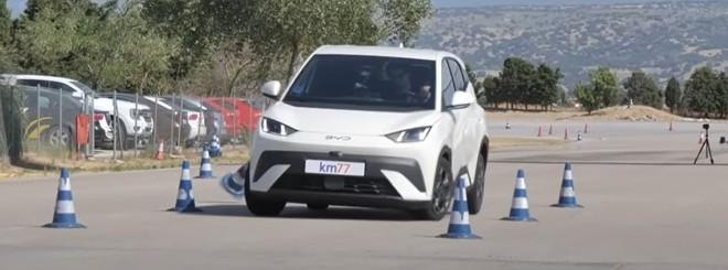BYD Dolphin Surf affronta il test dell'alce: prova superata? Ecco com'è andata | Video