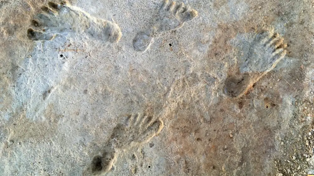 Study confirms White Sands footprints are ~23,000 years old
