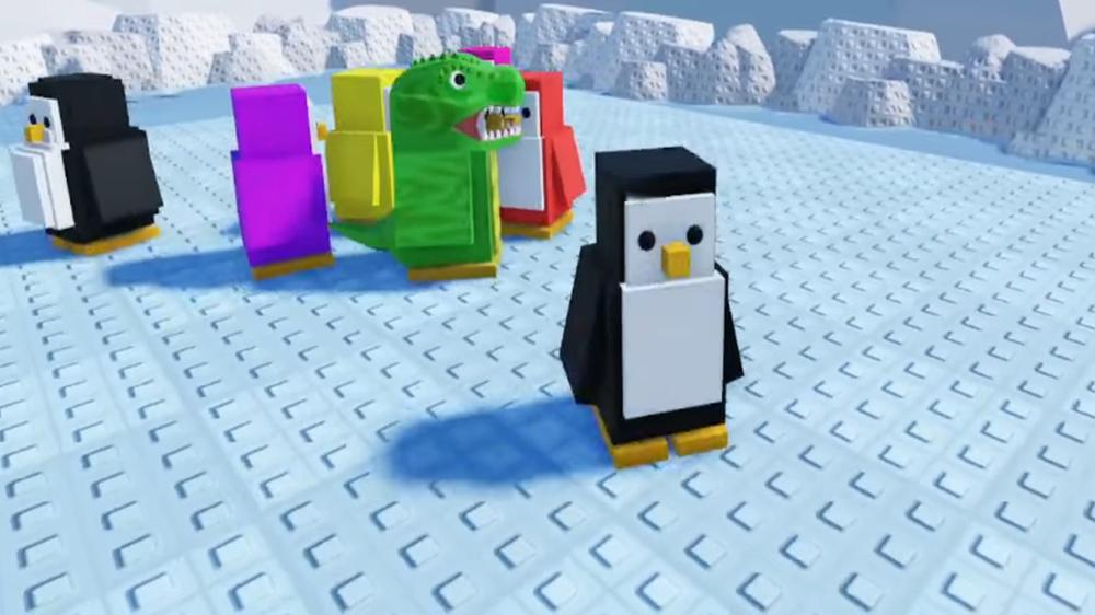 Knockout codes (February 2026)