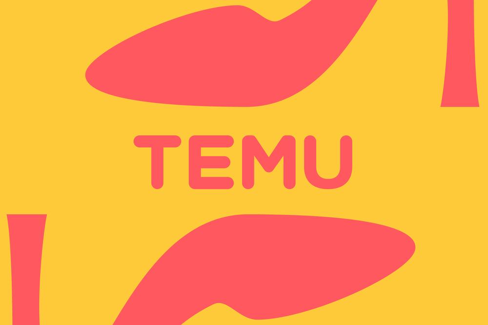 Temu users face a ‘high risk’ of finding illegal products, EU says