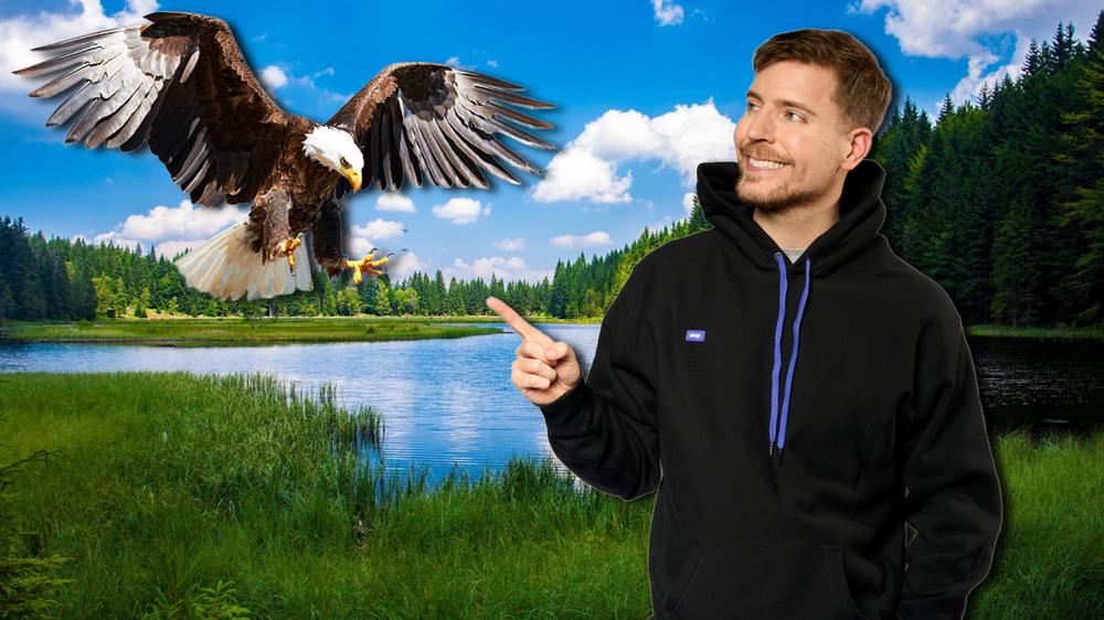 MrBeast reveals how a bald eagle shut down a multimillion dollar video shoot