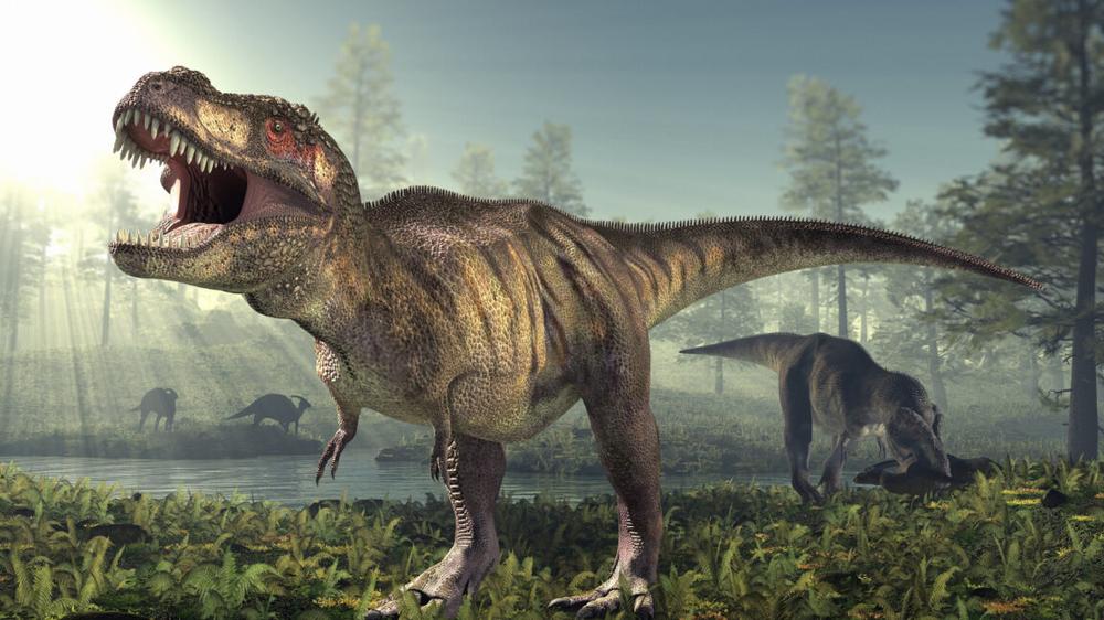 For giant carnivorous dinosaurs, big size didn’t mean a big bite
