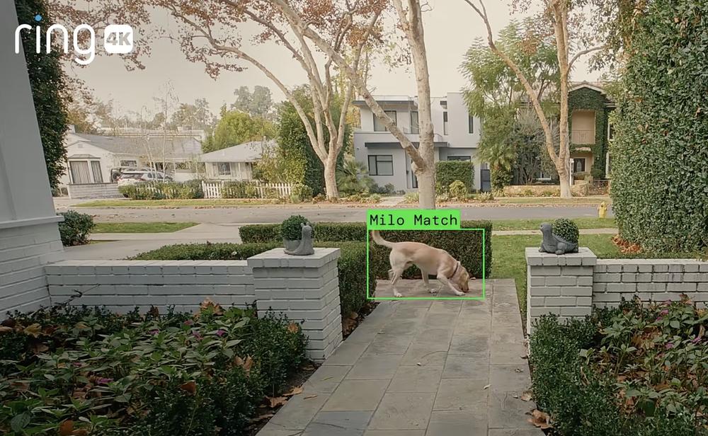 With Ring, American Consumers Built a Surveillance Dragnet