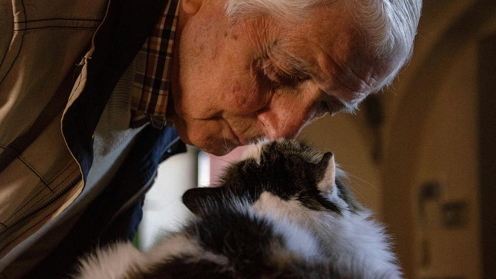 82-year-old Chinese man leaves entire inheritance to his cat