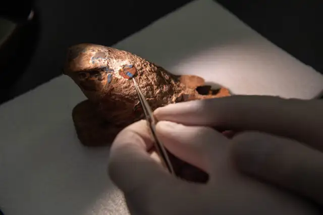 Research roundup: 6 cool science stories we almost missed