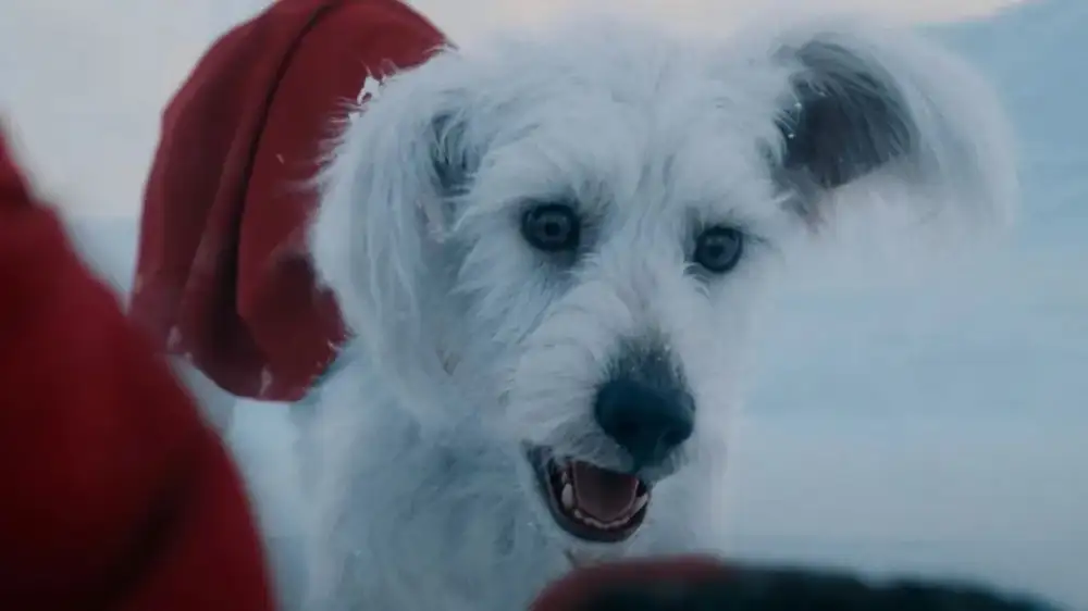 James Gunn may have revealed a secret Superman spinoff with Krypto