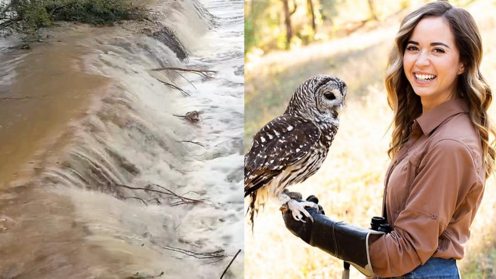 Maya Higa’s animal sanctuary cut off by Texas floods as fans and streamers rally to help