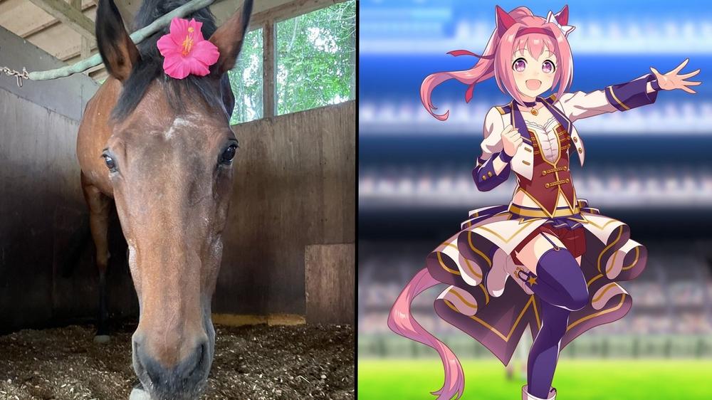 Legendary losing racehorse is going viral after being turned into an anime girl in new game