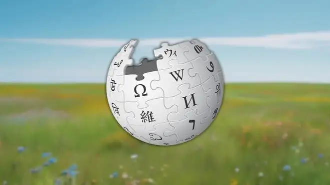 Wikipedia, primo freno alla strategia AI: proteste contro i riassunti generati dall'AI