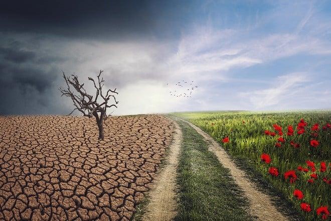 Riscaldamento globale ha lati positivi per un report. C'è lo zampino di Trump?