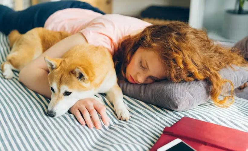 Luxury Mattress Doing Nothing to Improve Sleep of Woman Contorting Body Around 3 Large Dogs