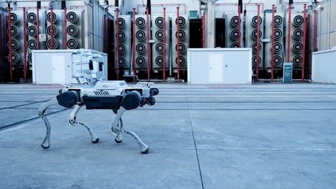 Addio operai: i cani robot hanno preso il loro posto in questo parco eolico