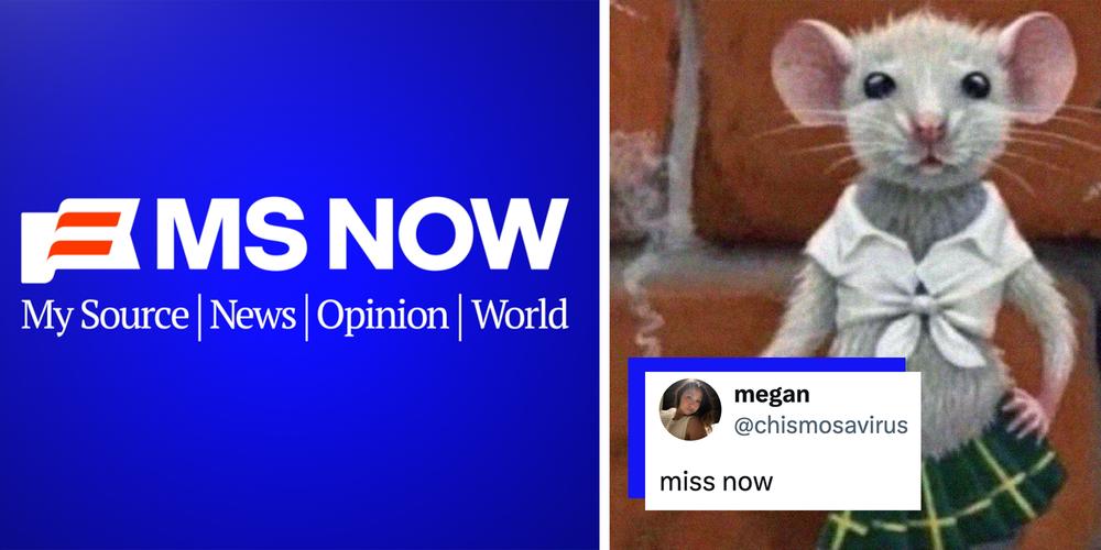 MSNBC is officially changing its name to MS Now, and the internet reacted as you’d expect: with memes and conspiracy theories