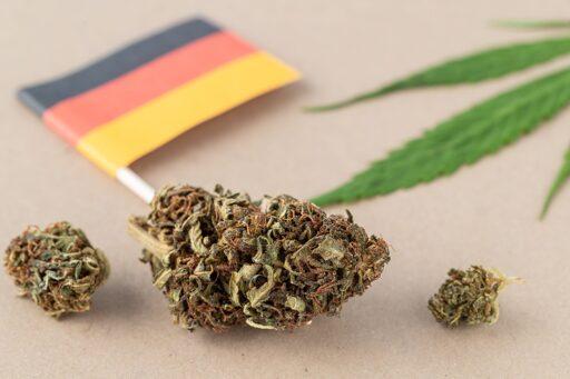 Germania, la cannabis legale funziona: meno reati e nessuna crescita del consumo