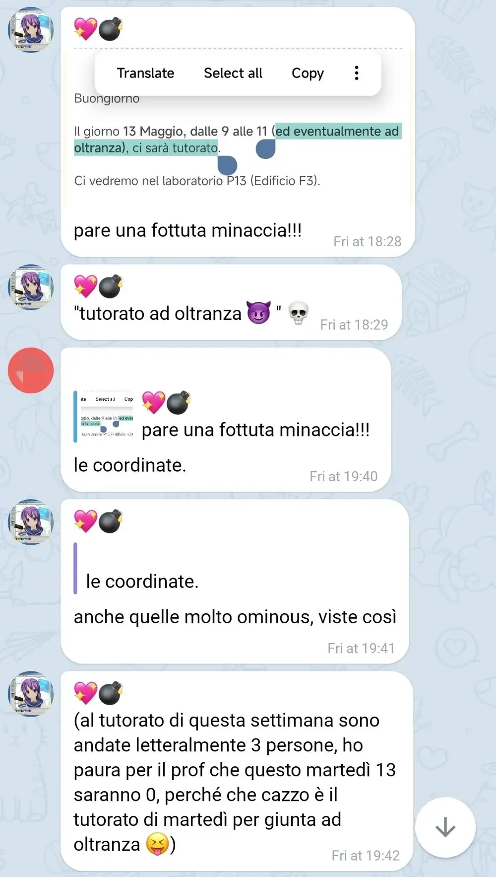 universitastico corso di web, intricato in una ragnatela memosa