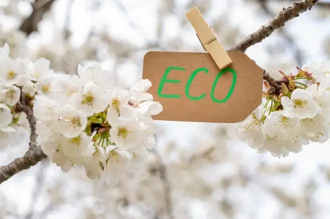 Green Claims, l’Europa fa dietrofront. Cosa succede alla direttiva anti-greenwashing?