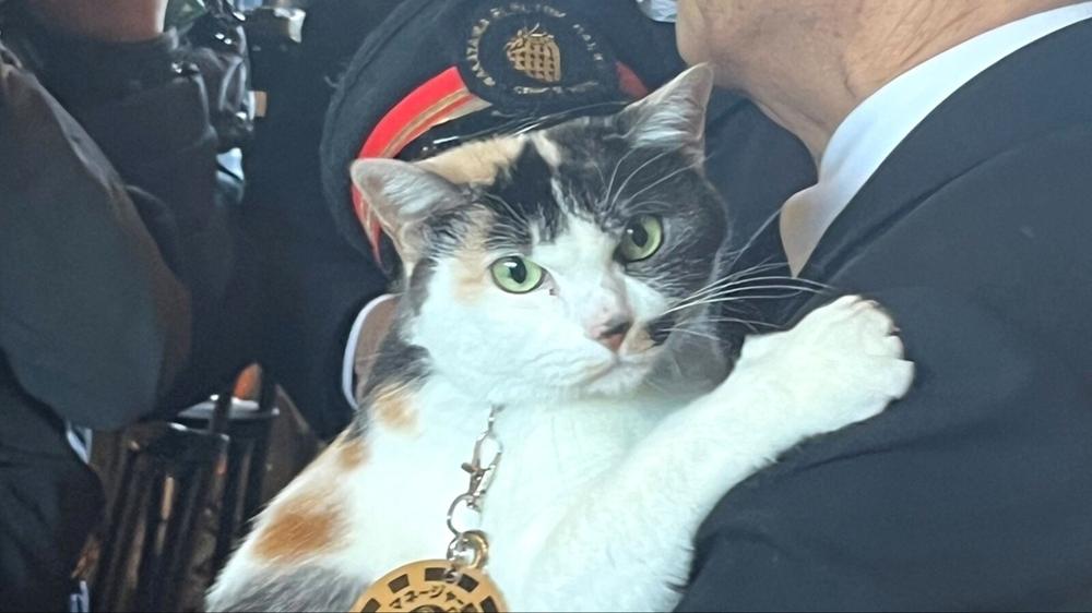 Japan appoints a calico cat as new stationmaster