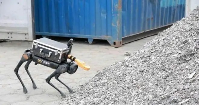 Cina testa i primi robot canidi anti-radiazioni nei porti
