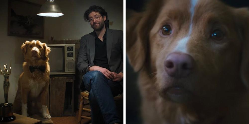“This would ruin my life”: A dog just beat Ethan Hawke and Alison Brie for a film award