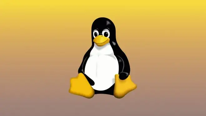 Linux 6.16-rc3: tanti fix per GPU e Wi-Fi, si torna alla normalità