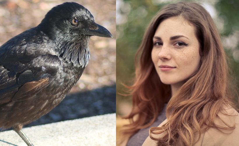 Cool! Woman Befriended Her Local Crows and Now They Have Her Spare Keys