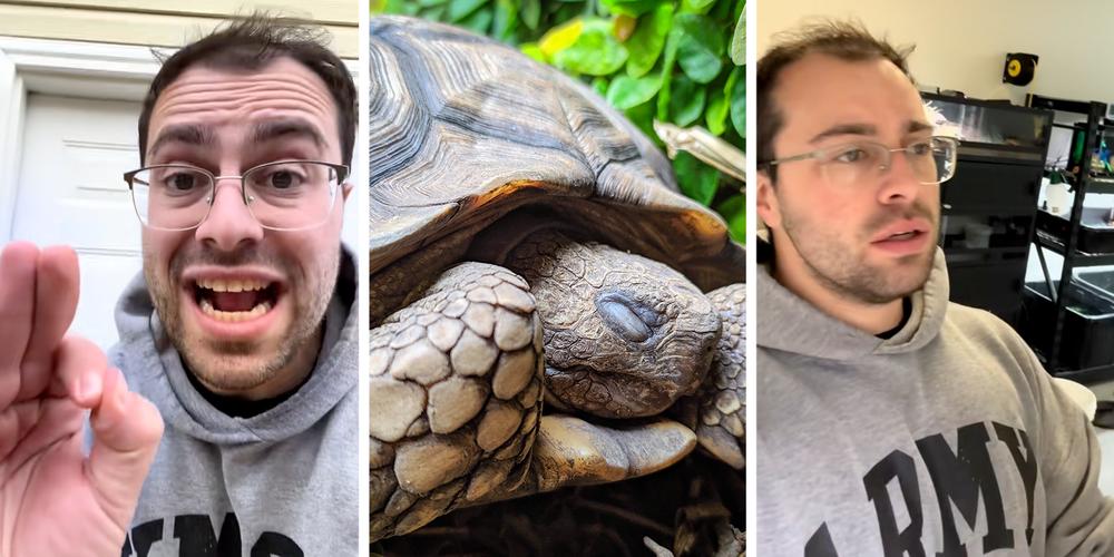 “Stop burying your turtles”: Viral turtle PSA explains why a backyard burial can actually harm your pet