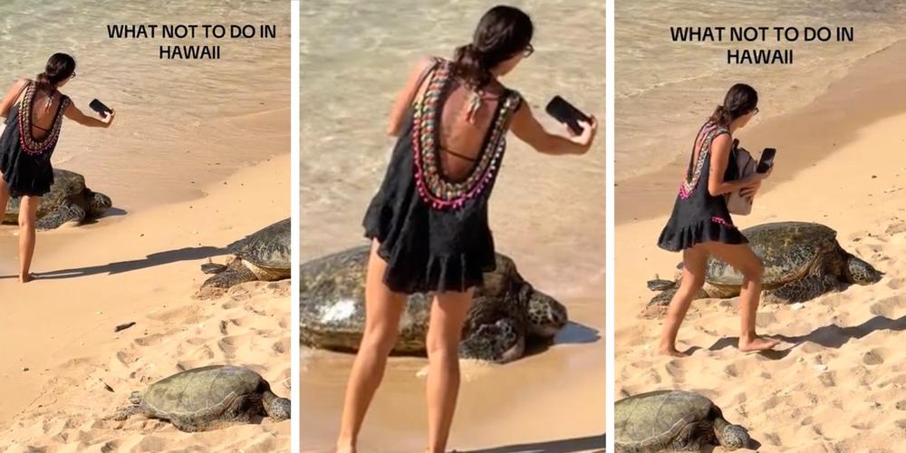“All the narcissists saying she did nothing wrong”: Tourist walks through sea turtle habitat for selfies, despite being yelled at