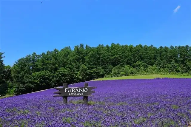 🚴‍♂️Il [#Giappone](https://mastodon.uno/tags/Giappone) in bicicletta nell’[#Hokkaido](https://mastodon.uno/tags/Hokkaido)