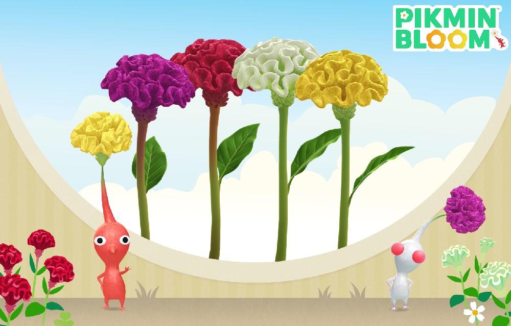 Pikmin Bloom, tutte le novità in arrivo a settembre 2025!