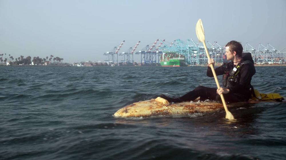 Man travels 26 miles across ocean in mushroom kayak and survives whale encounter