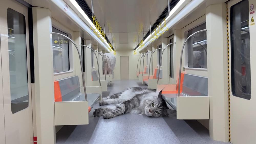 YouTuber spent months creating working subway system for his miniature cat world