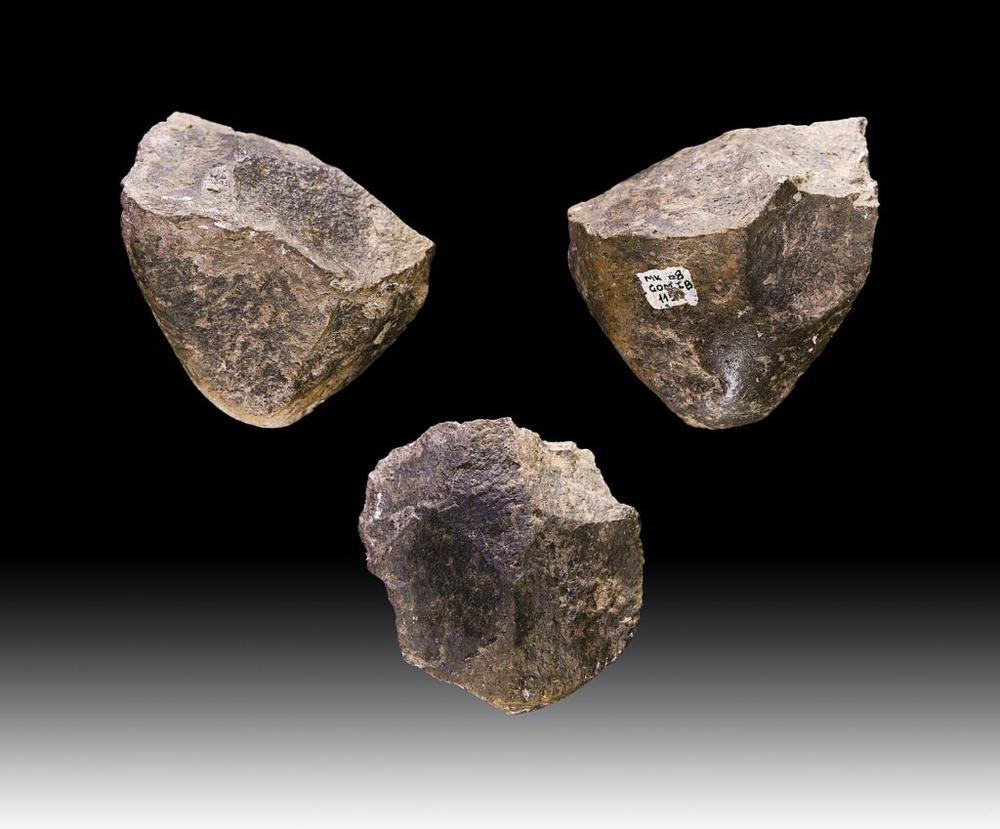 10,000 generations of hominins used the same stone tools to weather a changing world