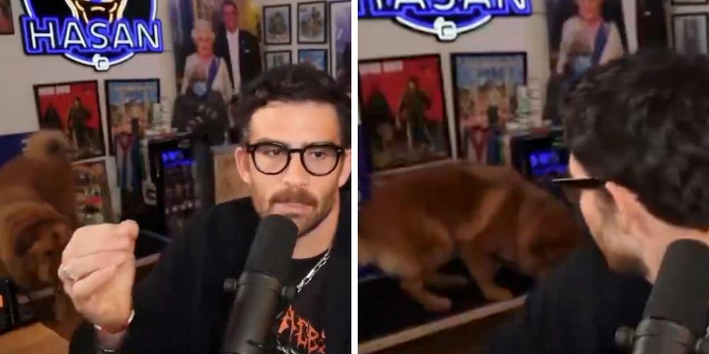 “Suspect it’s coming from crazy haters”: Hasan Piker denies using a shock collar on his dog after her livestream yelp