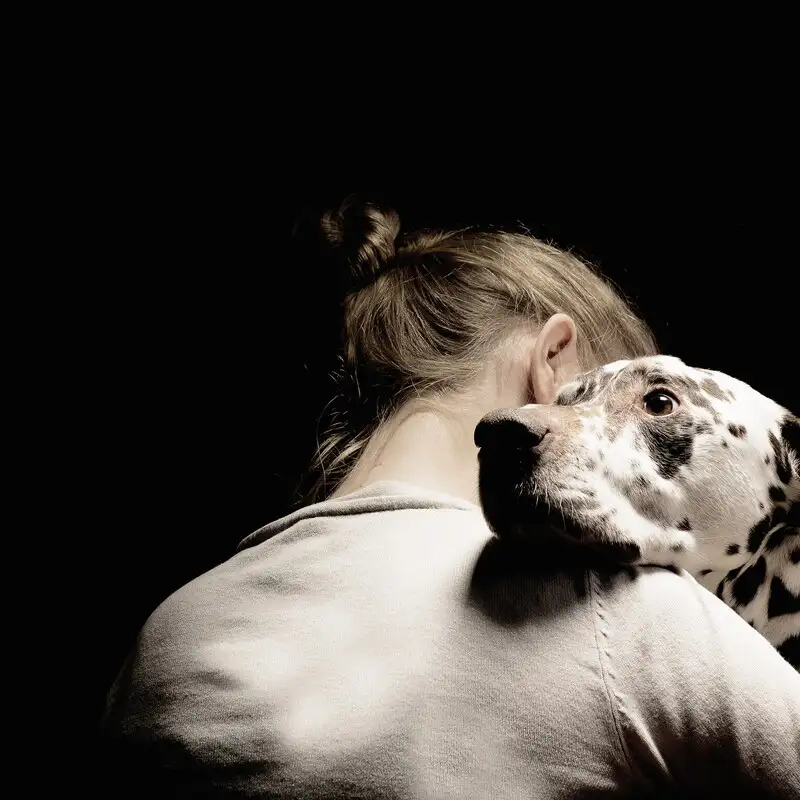 Svolta storica per i diritti degli animali: cosa cambia con la nuova legge Brambilla sui maltrattamenti