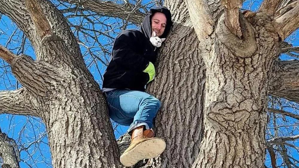 Cat saved by neighbors after two days stuck in tree during historic Rhode Island blizzard