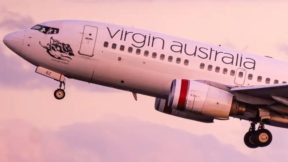Snake on a plane delays flight after causing a panic