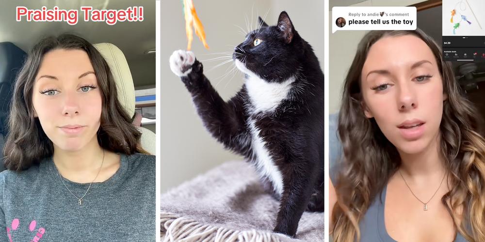 “They don’t know if no one speaks up”: Woman praises Target’s swift action after $4 cat toy kills her pet