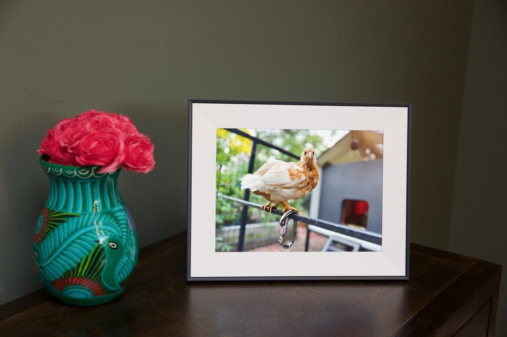 These Verge-approved gifts are still available for up to 60 percent off for Cyber Monday