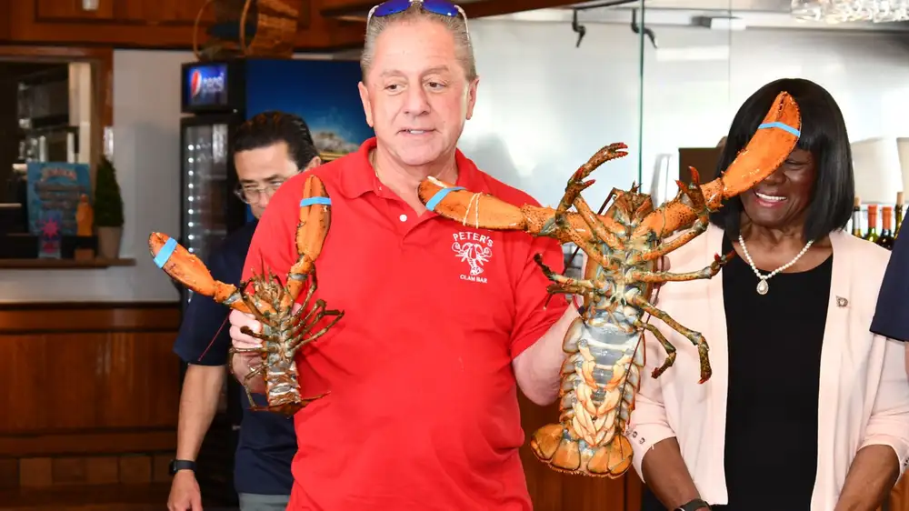 Seafood restaurant “pardons” & frees 110-year-old lobster that lived in tank for years