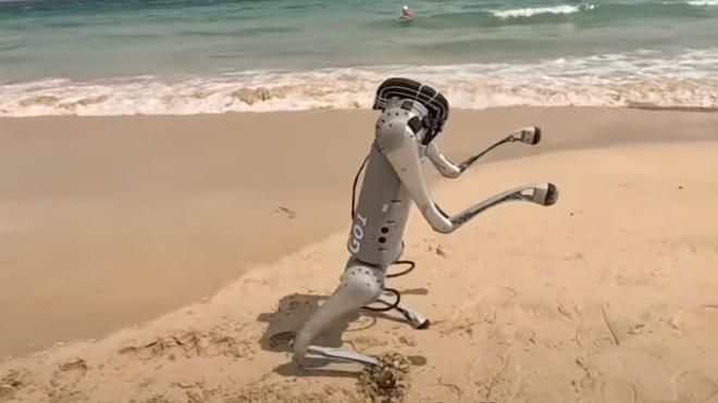 Il robot che non cade mai: cammina su due zampe ovunque | Video