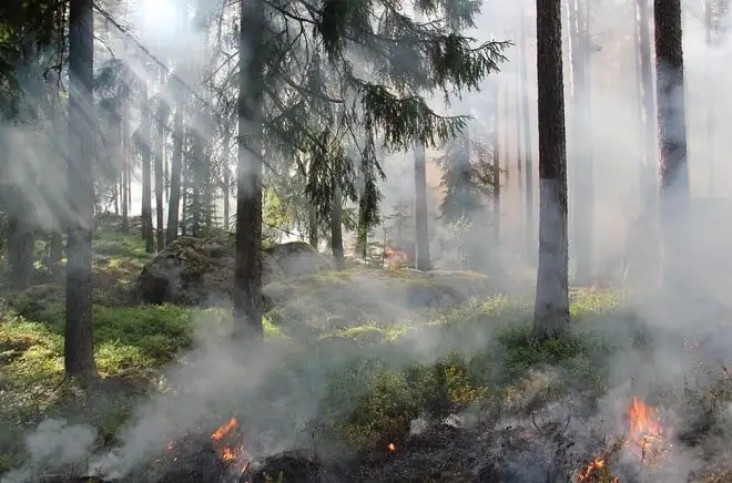 Incendi in Canada, il fumo ha raggiunto le Alpi italiane