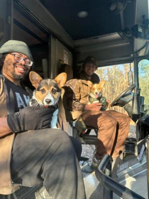 “Route paused, hearts melted”: UPS drivers are posting the cutest dogs along their delivery routes on Facebook