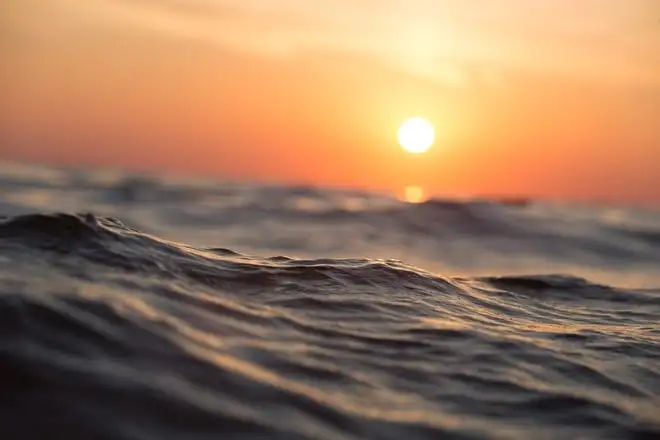 Patto Europeo per l’Oceano, salvaguardia degli ecosistemi marini