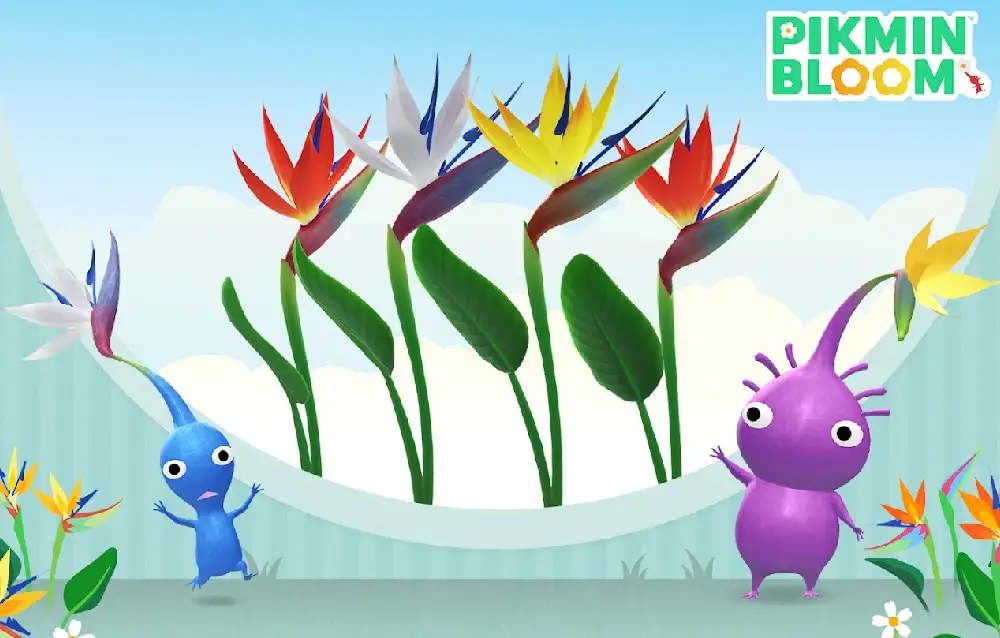 Pikmin Bloom, tutte le novità in arrivo a luglio 2025!